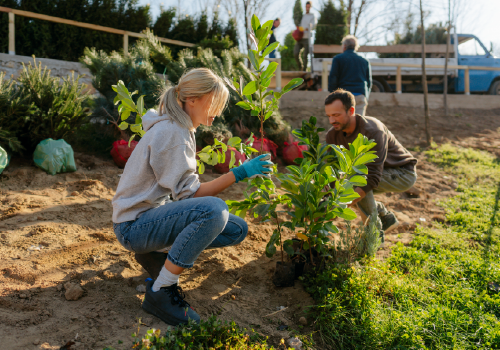 Gardening