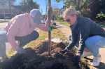 Evergy employees planting a tree
