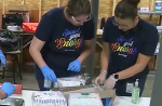 Evergy employees volunteering at Topeka diaper bank