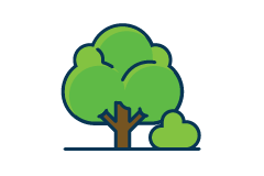 Tree graphic